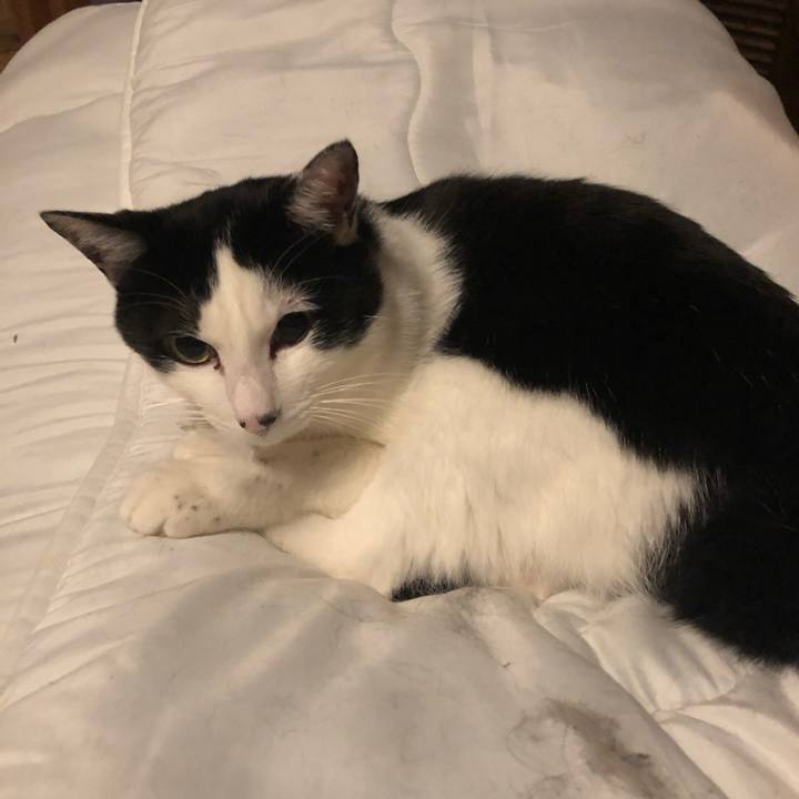 375c0962 a75f 4f95 a7bf bb9ed7bbb2cf 1586530821714