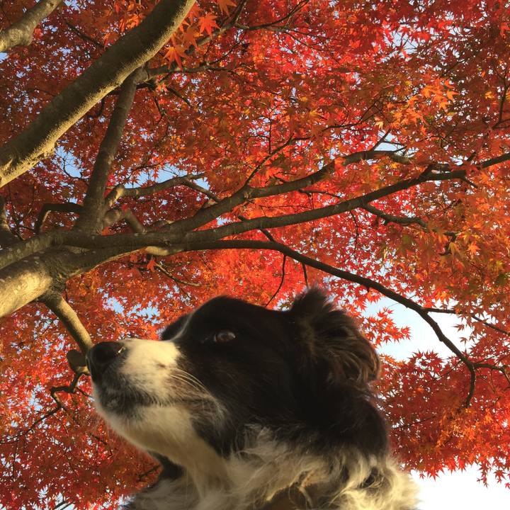 375c103d 122c 4975 b234 0fcf7ba56bab 1543536490112