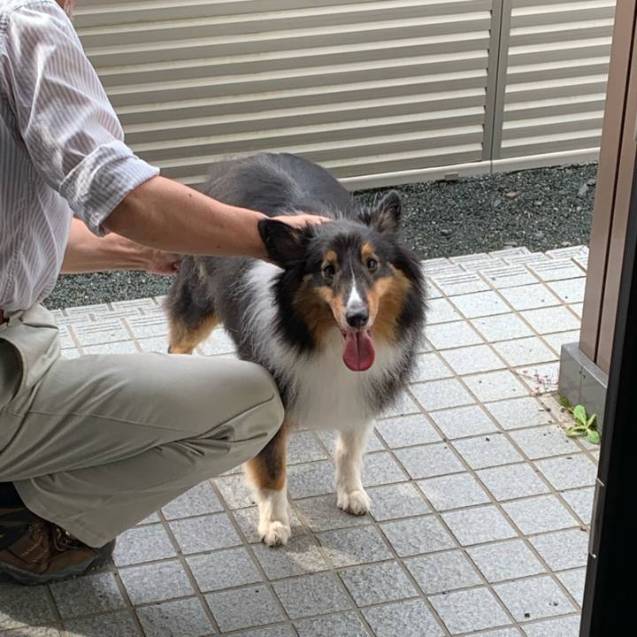 375c3100 9008 46b2 a339 2c058d1c4c01 1593986588021