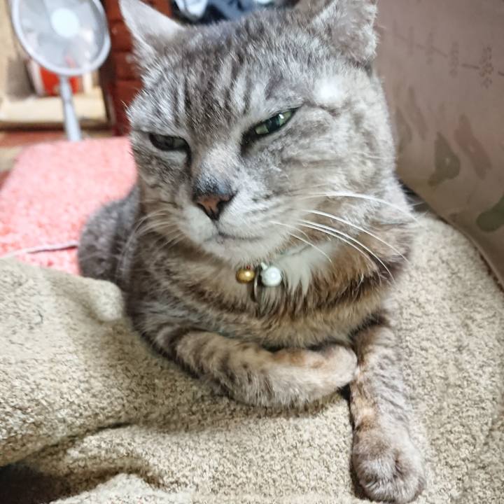 375c3e6a 220a 4f26 b056 3df886c3ba9c 1561119853103