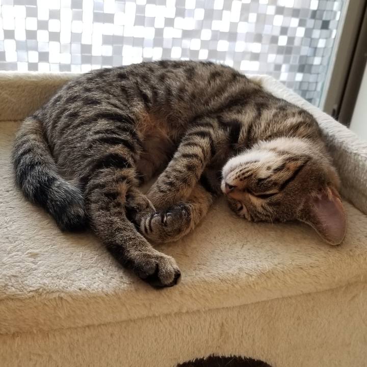 375c520e f010 4a59 aea3 9eaa4f0e9f10 1540622711238