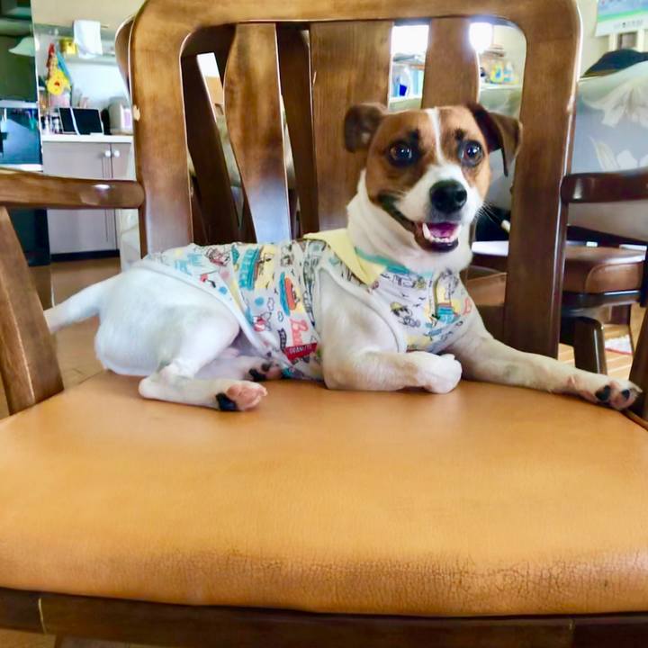 375c6be0 d2d9 4927 bfb5 89368b970dbb 1564470585283