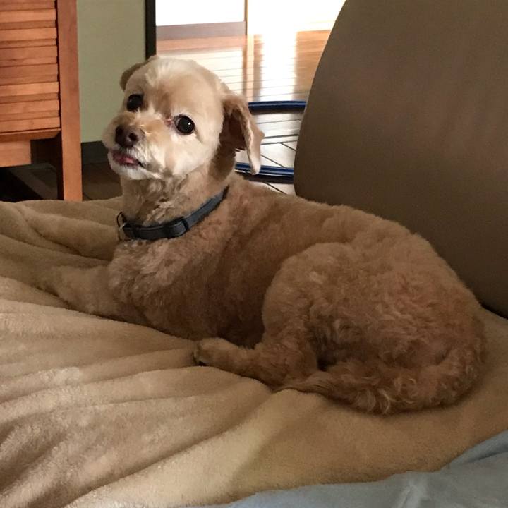 375cc38d a0b5 40ad 85cc 6bf6b46f9507 1563415400467