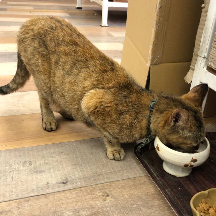 375d2ec8 dd40 47d2 9c7c 77f34620cd04 1591264645077