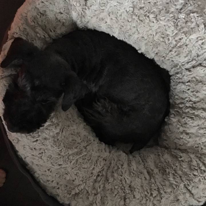 375d2f49 8c98 455b 87dd d26da7687744 1553930391284