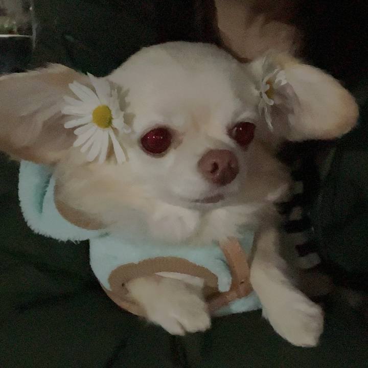 375d3970 49a6 4657 a05d 938ca6250d64 1701854315242