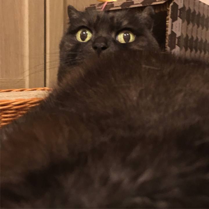 375d3f3e 8af6 4ebe 9c26 3a59fe497f98 1556730210971