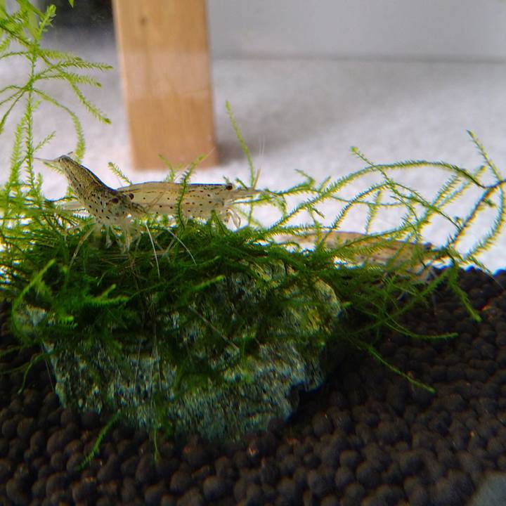 375d62de 579b 48f3 823d 00f71282dbd3 1631324521678