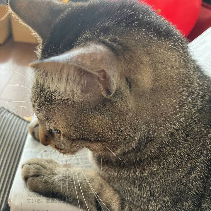 375d876d e79e 4910 8a77 1bee638f5cd1 1772061937009