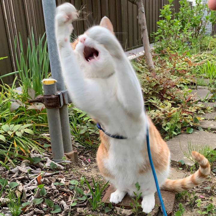 375d8d53 3abc 41f2 adb5 41f868008946 1588502889757