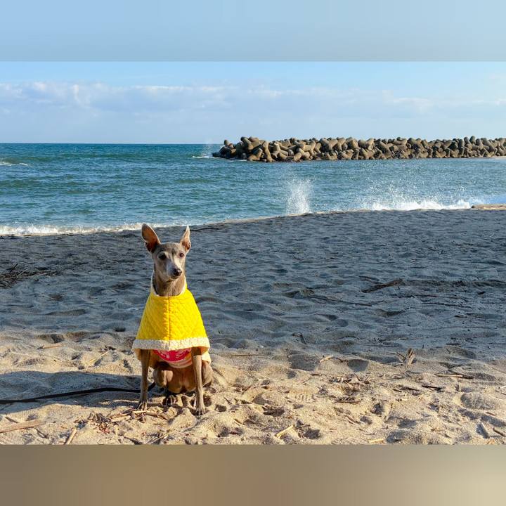 375e19b1 5162 4513 90b5 15872475ffaf 1763808100869