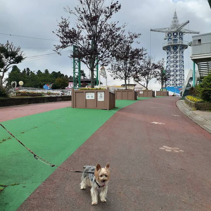 375e487f 5762 4e7a 9efe 794f26bbd45e 1657263961494