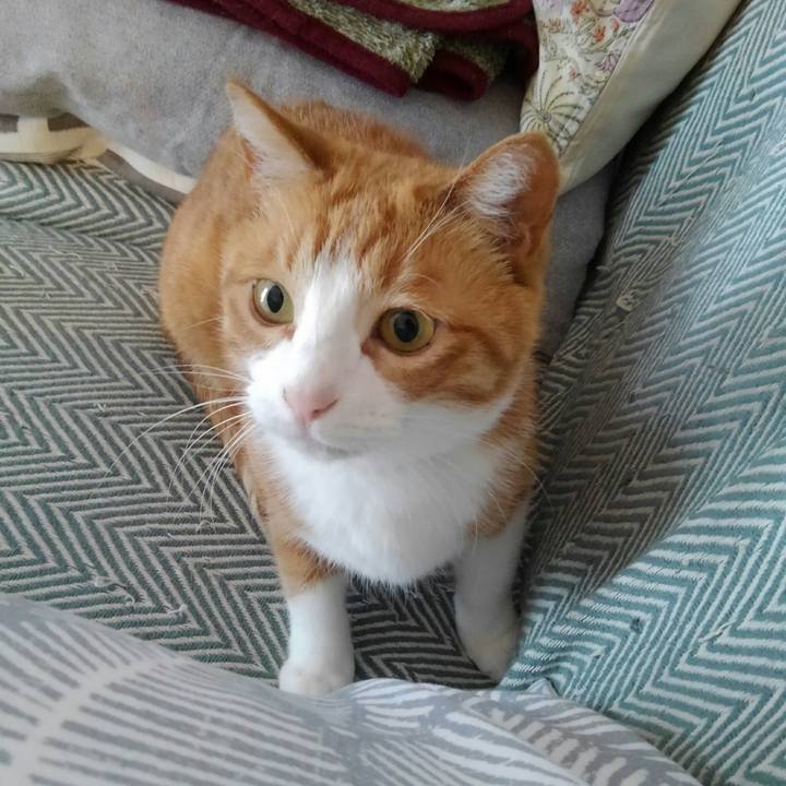 375e4e06 045e 4326 9b3f 7e7964dd88a9 1586681417064