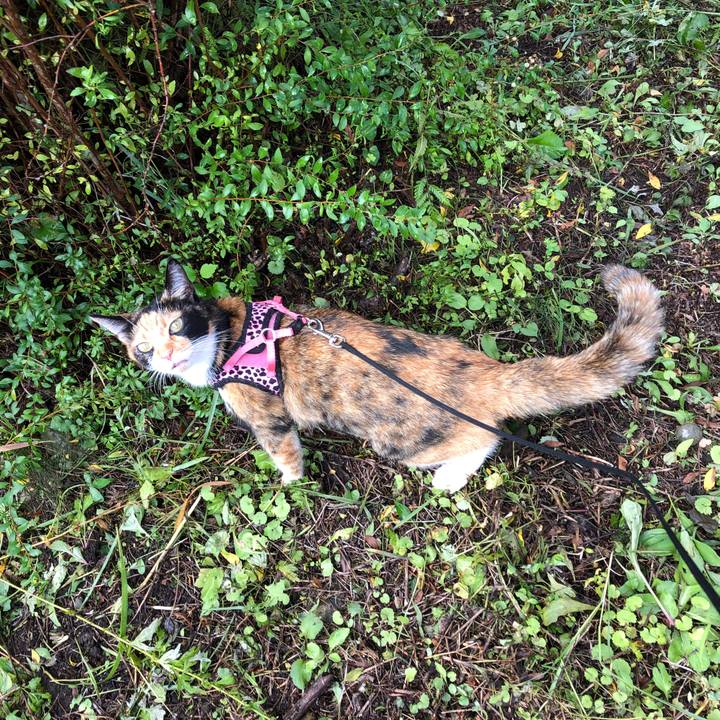 375e5562 b444 4415 a763 efb0782ff37c 1537607263000