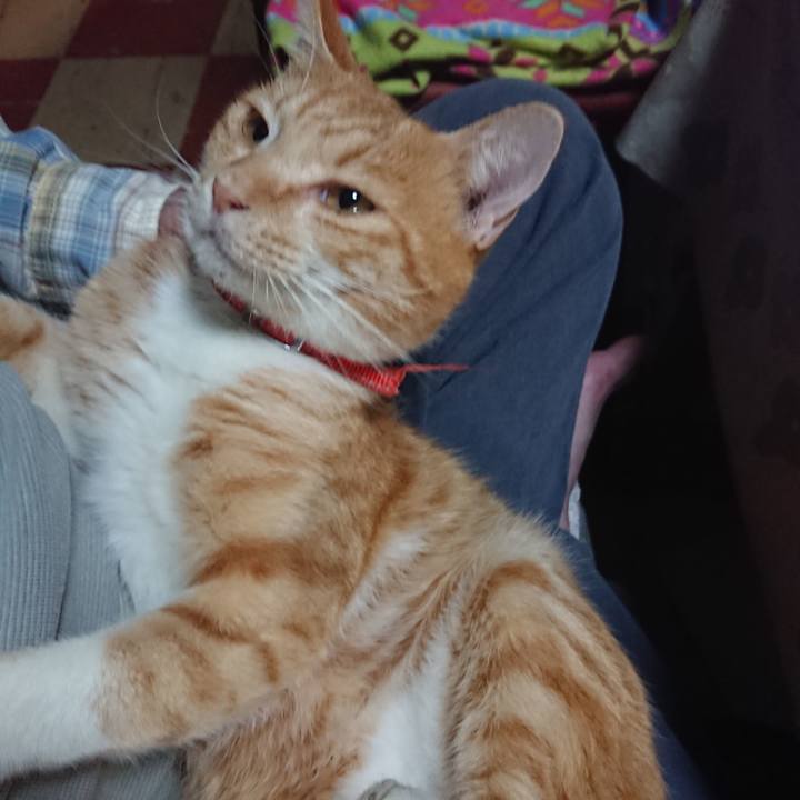 375e9c53 bc22 4601 8df8 5b120a9be783 1570446155358