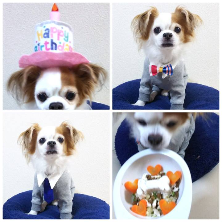 375ea48b a751 497f 929b d46547261bc9 1541845788093