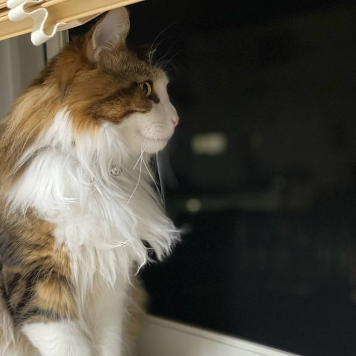 375ef37b fbaf 4eca a561 f589c50fa5f0 1649156546121