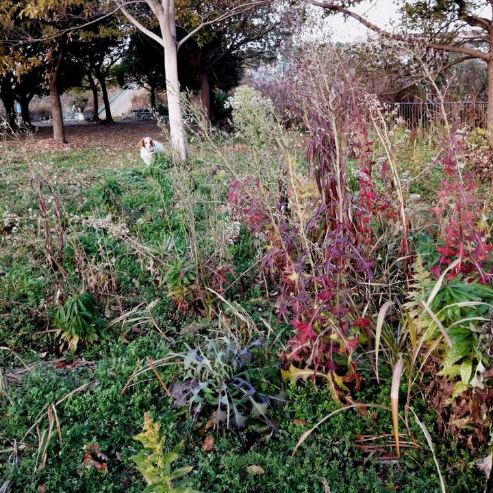 375ef507 eaee 4370 a71b 1b52ce62eaa3 1607399707142