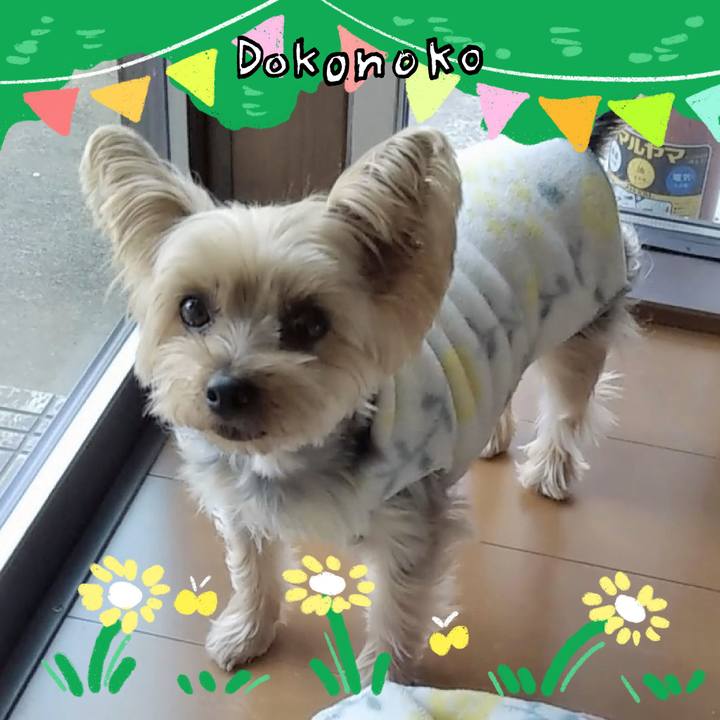 375f4439 7c05 494a b443 4ba3f2421012 1711435025544