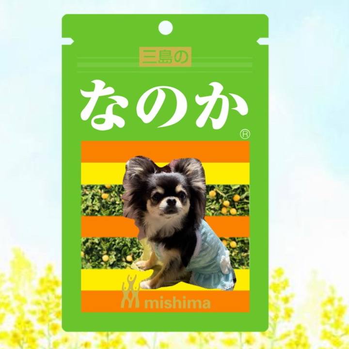 375f5e7c 35ac 4ef7 9472 a5057b013647 1618564986501