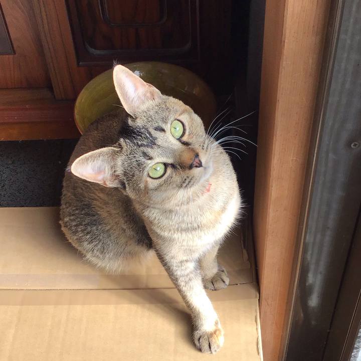 375f91a2 d534 4ab4 9d70 0ab945a47ed5 1580964963049