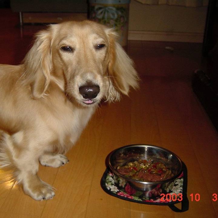 375f94c5 8b70 4705 8ff9 a963dee4739c 1633263502792