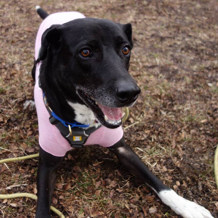 375fe846 630a 4301 b69c 50457a7d2f2e 1645232259005