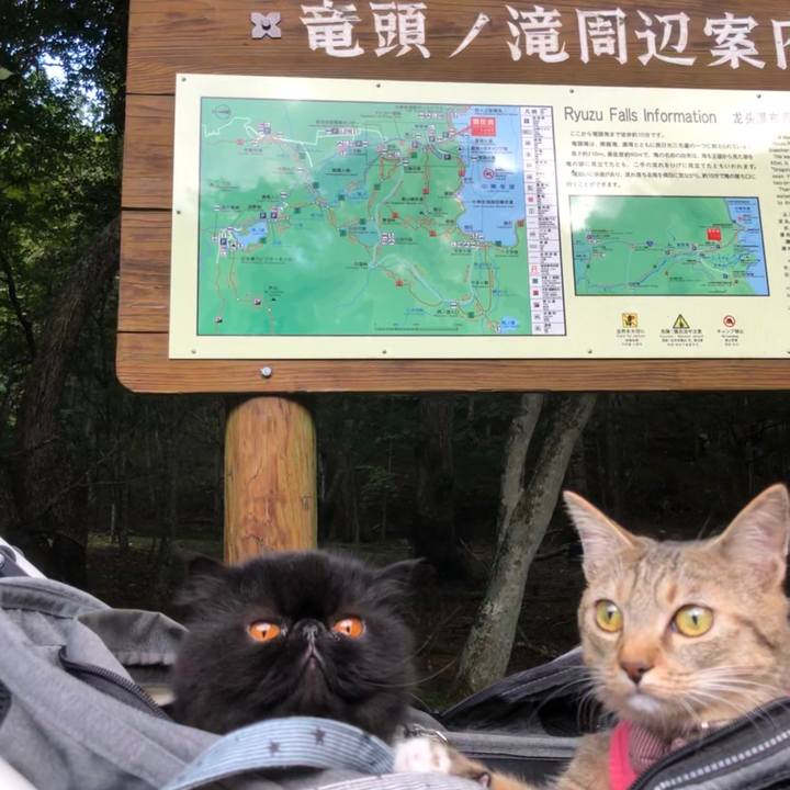 375ff847 216d 4082 aa1b a293e57212f8 1600685805779