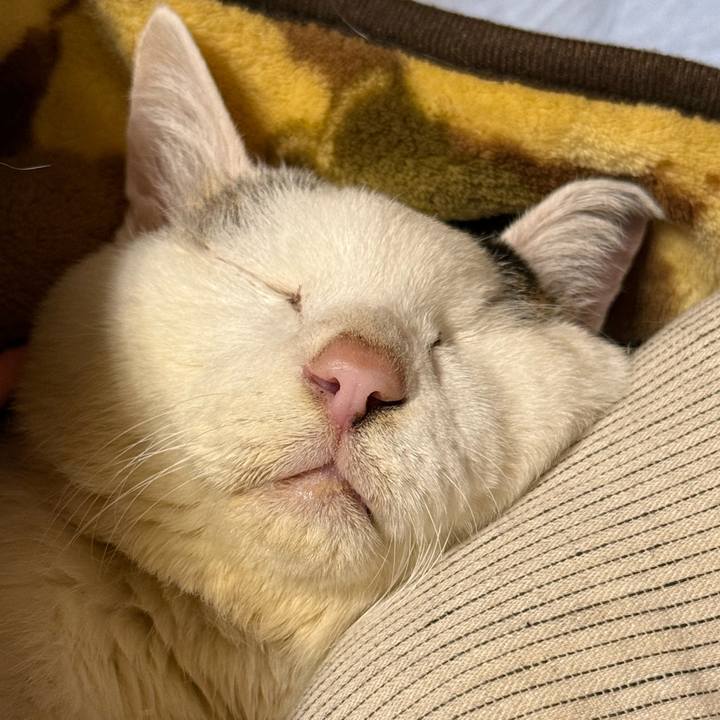 376032e9 670d 4f42 a1d8 f4b78c3e6135 1767705230103