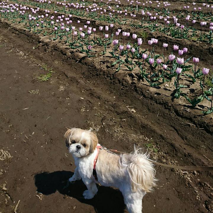 37604682 f3c2 4207 9c67 843a8ec14181 1555142974676