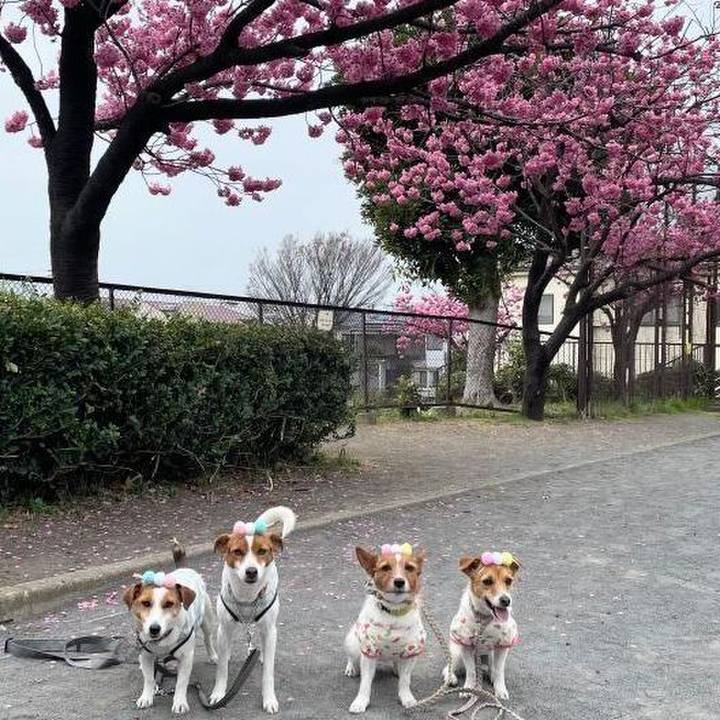 3760a206 570b 4c1c 83dc b776f14670fe 1774426089520