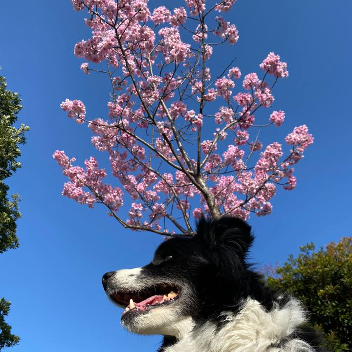 3760be64 f5b7 4bc9 9e80 165d2d87c01f 1647735327729