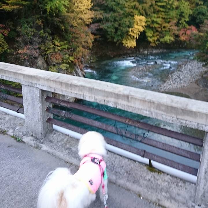 3760c48b c581 42e6 953b 76a14fd1571d 1509141290275