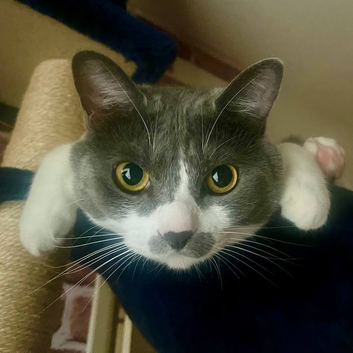 3760f4d8 a68b 4ad3 9bb9 3389b0e08893 1632610190739