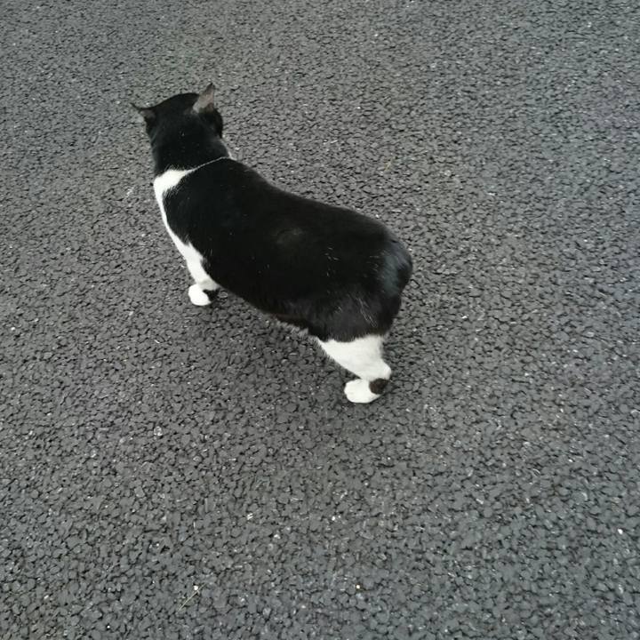 3761414d 32c7 4f21 b15a 57d6e543d7e9 1519543437969