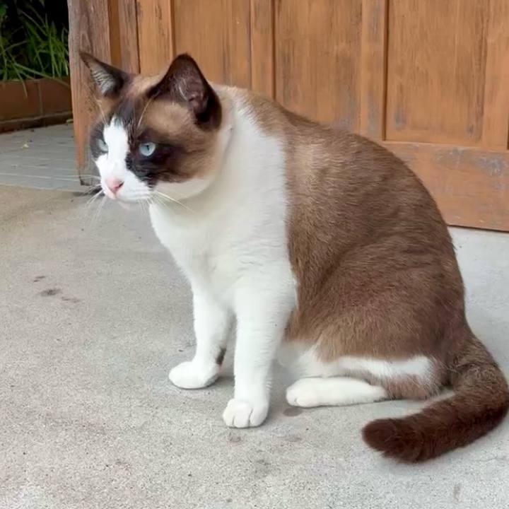 3761457a 8d19 457d bc07 eaf6dac051d4 1750732324537