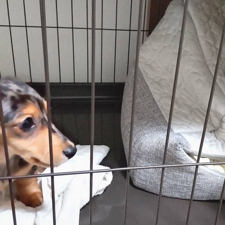 3761631a 5878 44d0 9bf9 5a6110618a79 1697804783651