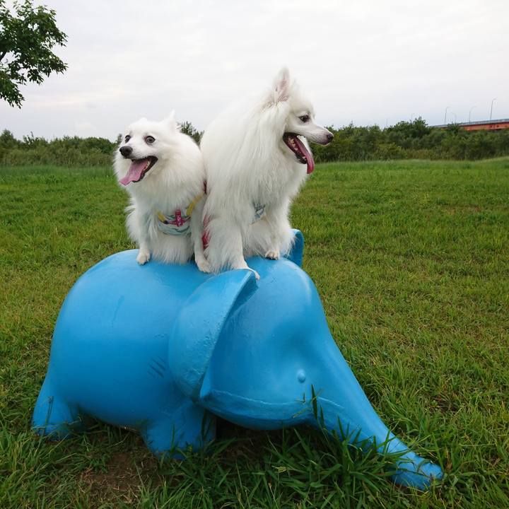 3761bf20 985a 475a a49d 111db4bc3dff 1601797095014