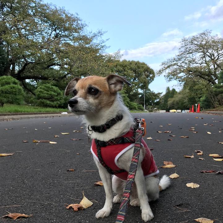 3761ee19 4dd3 4a04 821b 7a5cb8f43a14 1570350612245