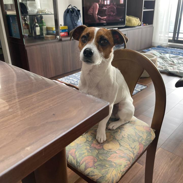 37623e5a 6308 49f3 8640 bcf57604053d 1649111231954