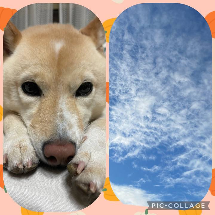 37625f3f 226c 4cad 9afb cd1432ed95ac 1662850147184