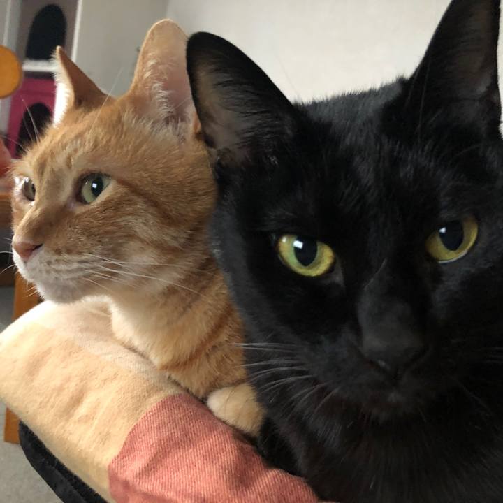 3762b8e6 d9b4 4b3a 92e7 c78eaf41bf00 1669419758660