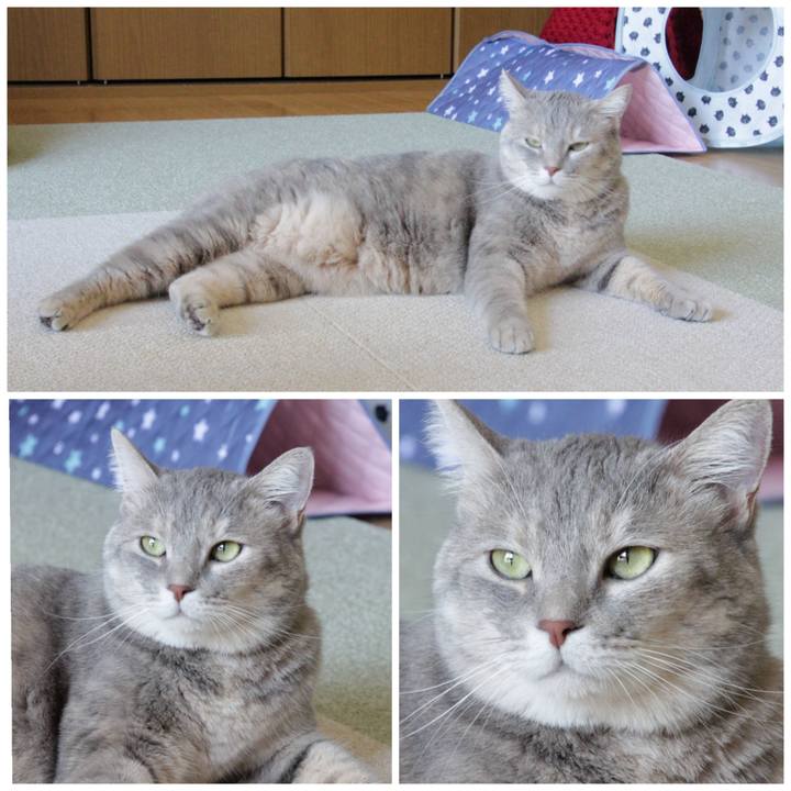 3762cb5c a1c1 4b88 b49f c0cf6162e281 1597479340095