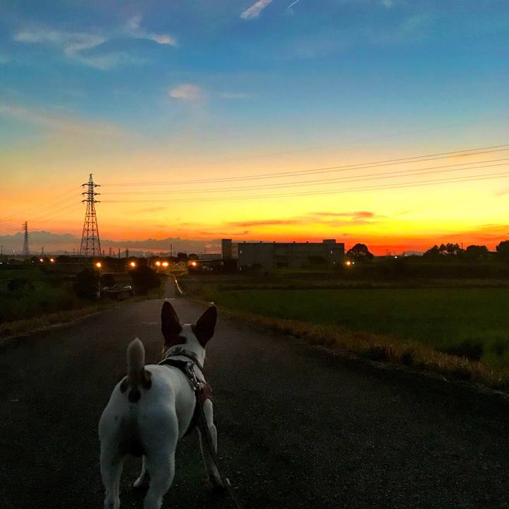 3762d1c0 fec7 42dd a523 7666098d06f2 1532174178294