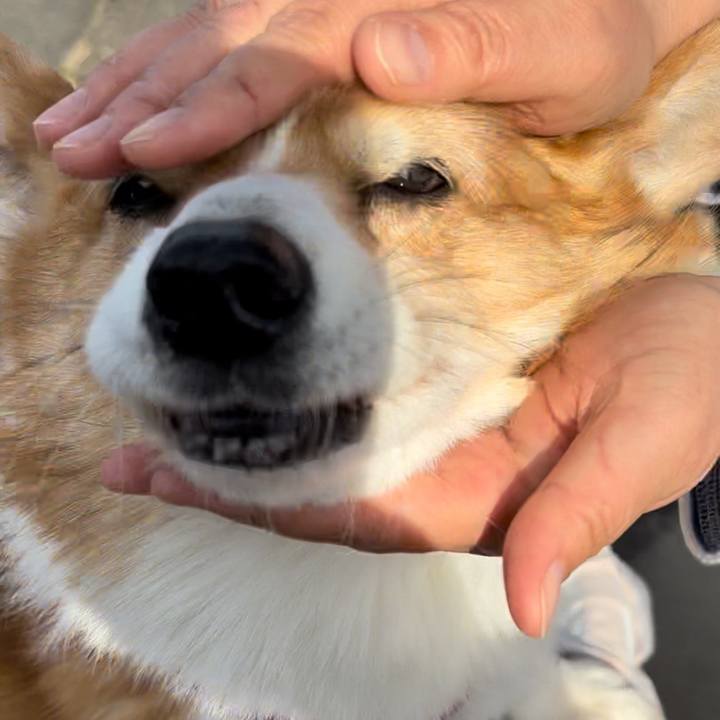 3762d3ef 7dd4 4f92 a35d 8bdd4249f3b6 1734668239452