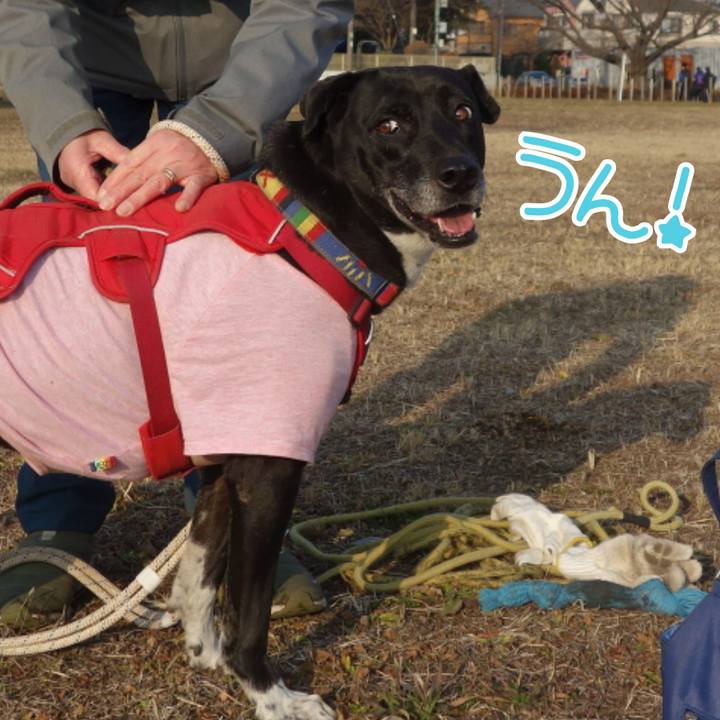 3762d585 a4b1 422c 8f76 9f638f39c8fa 1675817824292