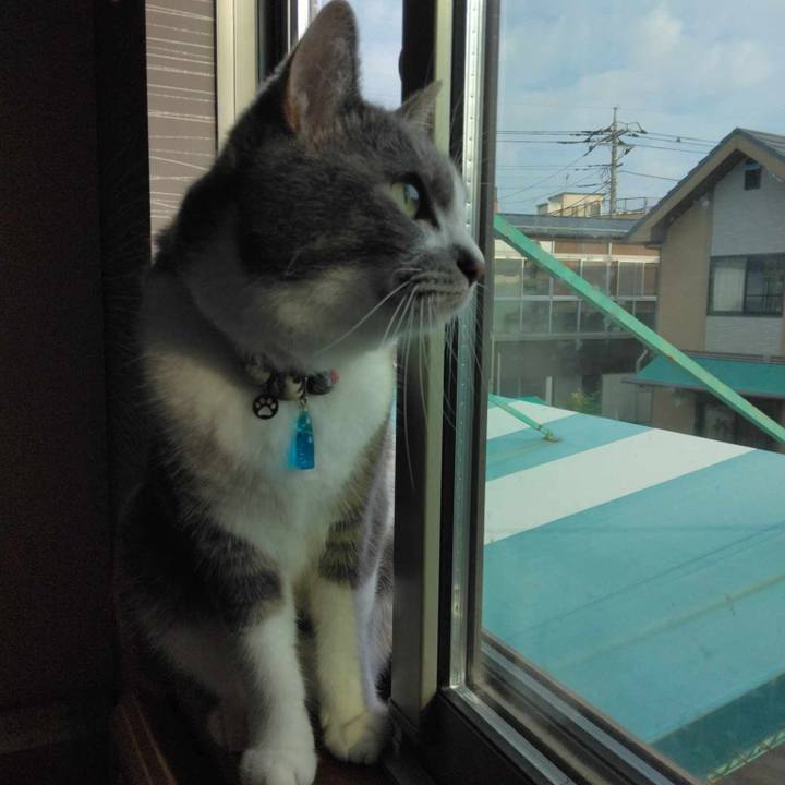 3762f340 9a36 4a61 8e4a 7102f9b72b39 1718585202953