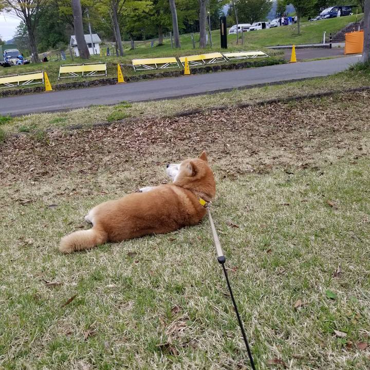 3762f4f6 a136 4412 9f40 c1005c37ccb0 1682760181325