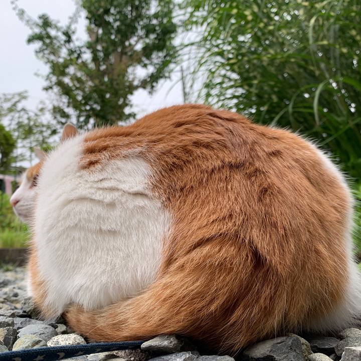 37631d8f 01fe 401e aded 454525c016e0 1628673283926