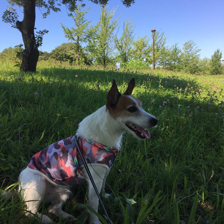 376347f4 2258 4251 be92 574dcd94a7d5 1626567532682